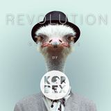 Revolution