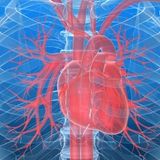 AT HOME WITH ROSE SESSION 70: Bradycardia