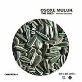 Osoxe Muluk - The Seed-Chapter 01 (Minimix Dubstep 2013)