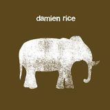Damien Rice