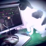 Comfort 13 - Black Planet Radio Party 19/09/14 - Tamar Izraely's DJ set