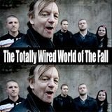 The Totally Wired World of The Fall