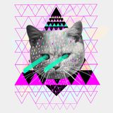 Dalife - Poniilecktric