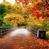 Autumn Grooves: A DJ Zulu Pop and House Mix!