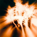 Psychedelic Psyblings Playlist: Colm Ó Cíosóig / My Bloody Valentine
