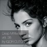 Deep Motives vol. 35