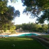 A hot day on the pool