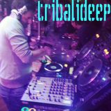 Electro Jackin Swing Mixed by Tribalideep aka Sean Marcucci Moore