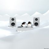 Dj Drigo - Zero Degrees