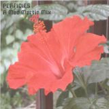 PERFIDIES
