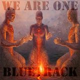 BlueTrack - Drift Control