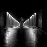 The Dark Of The Night