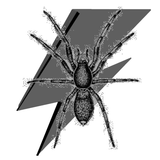 Secret Salmon - Episode 21: Here Come The Spiders From Mars