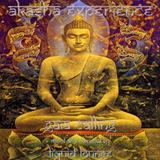Akasha Experience - Gaia Calling mix by Liquid Lounge