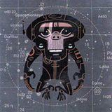 SpaceMonkey 23 "TbLv"