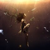 Digital Motion 019: Deep, Not Deep