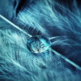 Ice Drop (Best of 2012 vol 1/2)