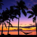 Sunset to Dream