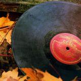 Sage mix8"Fall Into Disco"