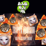 aVVanvera 2.0 - Trippa Advisor