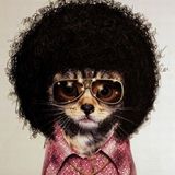 MikeTwo- Deep House/Nu Disco