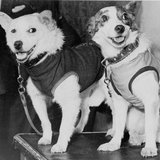 SPUTNIK de 13 de abril