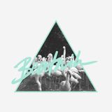 Flamingosis: Beatnik Mix