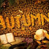 1310 - Stephen - October Cloudcast (Club House)