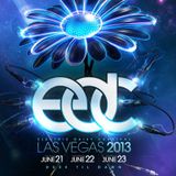 Avicii - Live @ Electric Daisy Carnival EDC Las Vegas (USA) 2013.06.22.