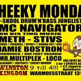 JAMIE BOSTRON (YARD ROCK / ONE FOOT SKANKIN) 02-06-2014 CHEEKY MONDAY