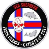 For 50 abused Pilot Whales (Faroe-Island,Denmark)- Für 50 misshandelte Pilotwale (Faroer-Inseln)