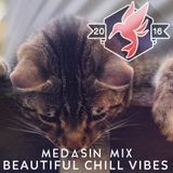 Medasin Mix - Beautiful Chill Vibes