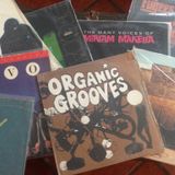 Seleccion de rolitas de discos de vinilo by MEXICAN DUBWISER