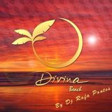 Set Dj Rafa Pontes para Divina Beach 2013/2014