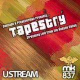 Deeflash Podcast - Tapestry 3 Warmup