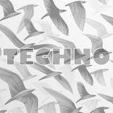 "random techno journey"