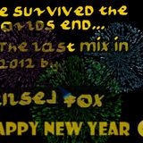 Leslie Fox - New Year = New Chance(2013 new year's mix)