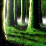 Magic Forest