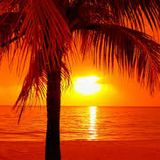 INDIE DANCE SUMMER MIX