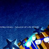 Atilla Altacı - Source of Life #008