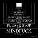 Something For Your Mind