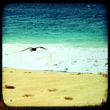 CCÑ Summer Mixtape