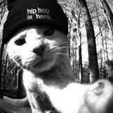 Old School // Hip Hop & Rap // G/OLD Mix #follow