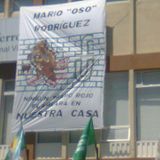Crónicas del Juicio 30-10