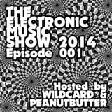 The Electronic Music Show 2014 - Ep. 01