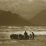 Voodoo Transmission - 17 songs for the 7 seas