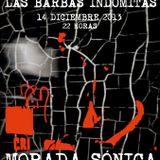 MORADA SONICA RADIO CANDIL LAS BARBAS INDOMITAS DIC 2013