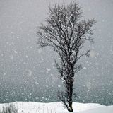 Advice is like snow - the softer it falls and the deeper in sinks into the mind.