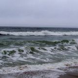 PODCAST # 5 - SEA
