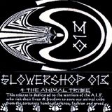 5LOWERSHOP #013 | Skwerley